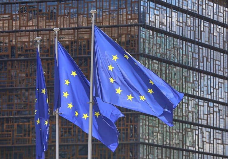 EU-Fahnen (Archiv)