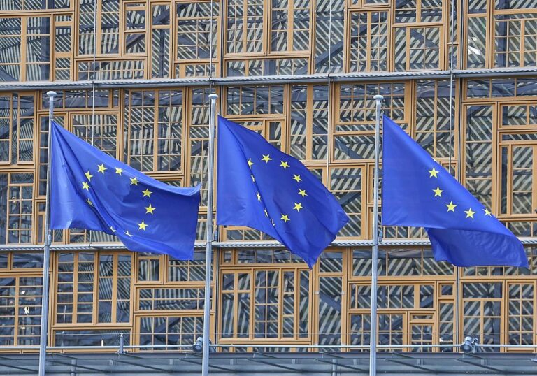 EU-Fahnen (Archiv)