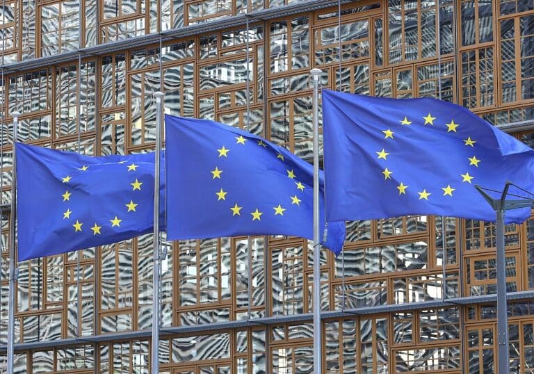 EU-Fahnen (Archiv)