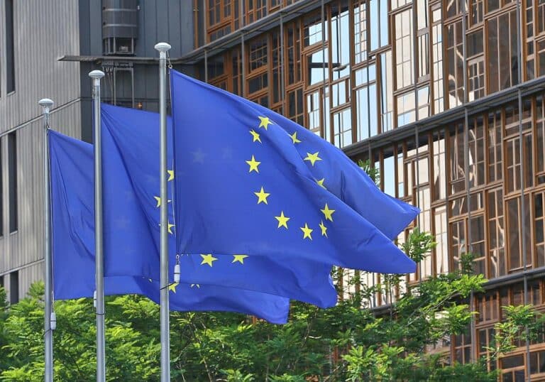 EU-Fahnen (Archiv)