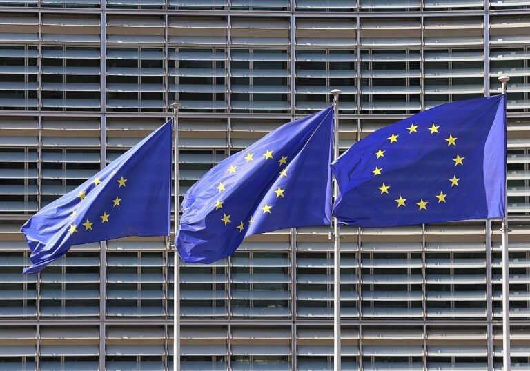 EU-Fahnen (Archiv)