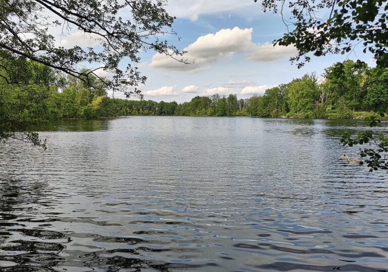 Badesee (Archiv)