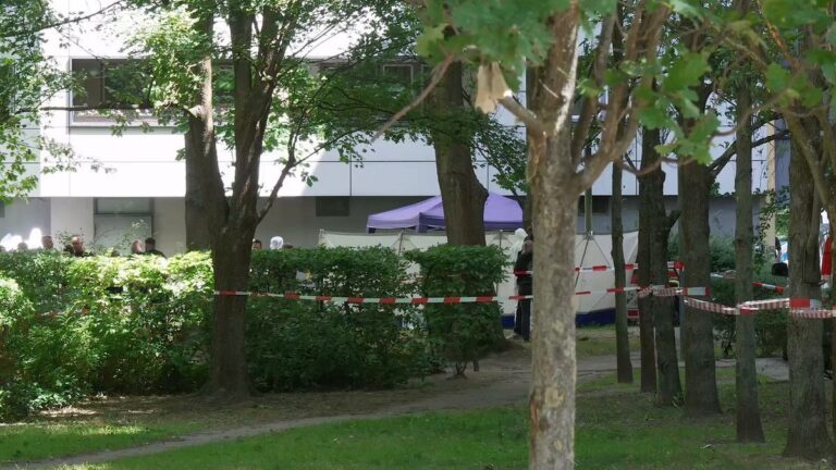 Totes Neugeborenes in Berliner Hinterhof entdeckt