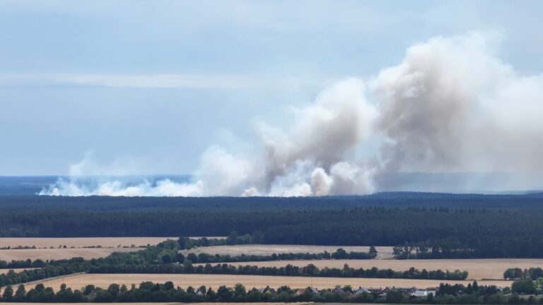 Waldbrand im Müritz-Nationalpark: Evakuierungen und Munitionsgefahr