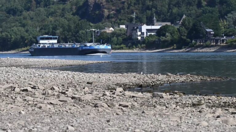Rhein auf Rekordtief: Niedrigwasser belastet Wirtschaft