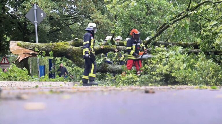 Schwere Unwetter in Süddeutschland: Bäume umgestürzt, Straßen