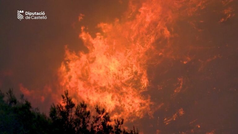 Waldbrände in Südeuropa: Hunderttausende auf der Flucht