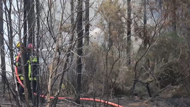 Frankreich kämpft gegen historische Waldbrände bei Bordeaux