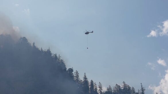 Waldbrand in Chiemgauer Alpen: Großeinsatz an der Hochwand