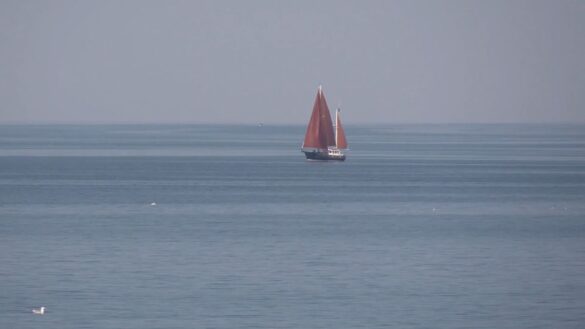 Buckelwal in der Ostsee: Ist es "Hartwin"?
