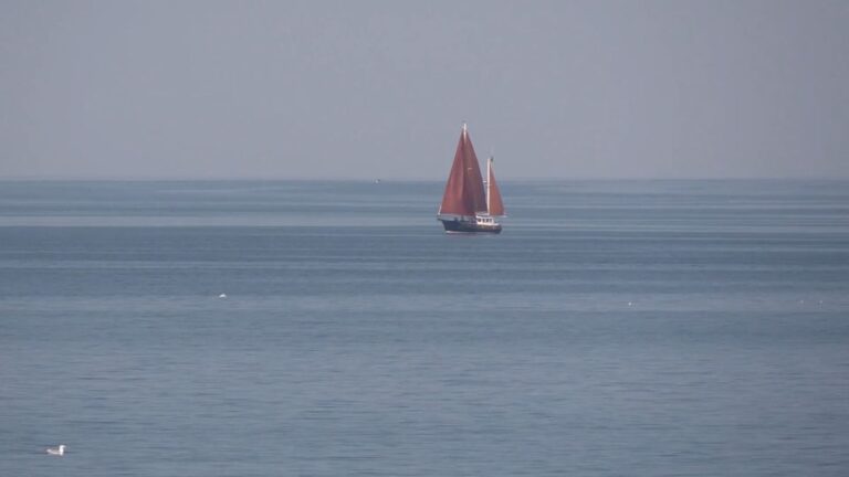Buckelwal in der Ostsee: Ist es "Hartwin"?
