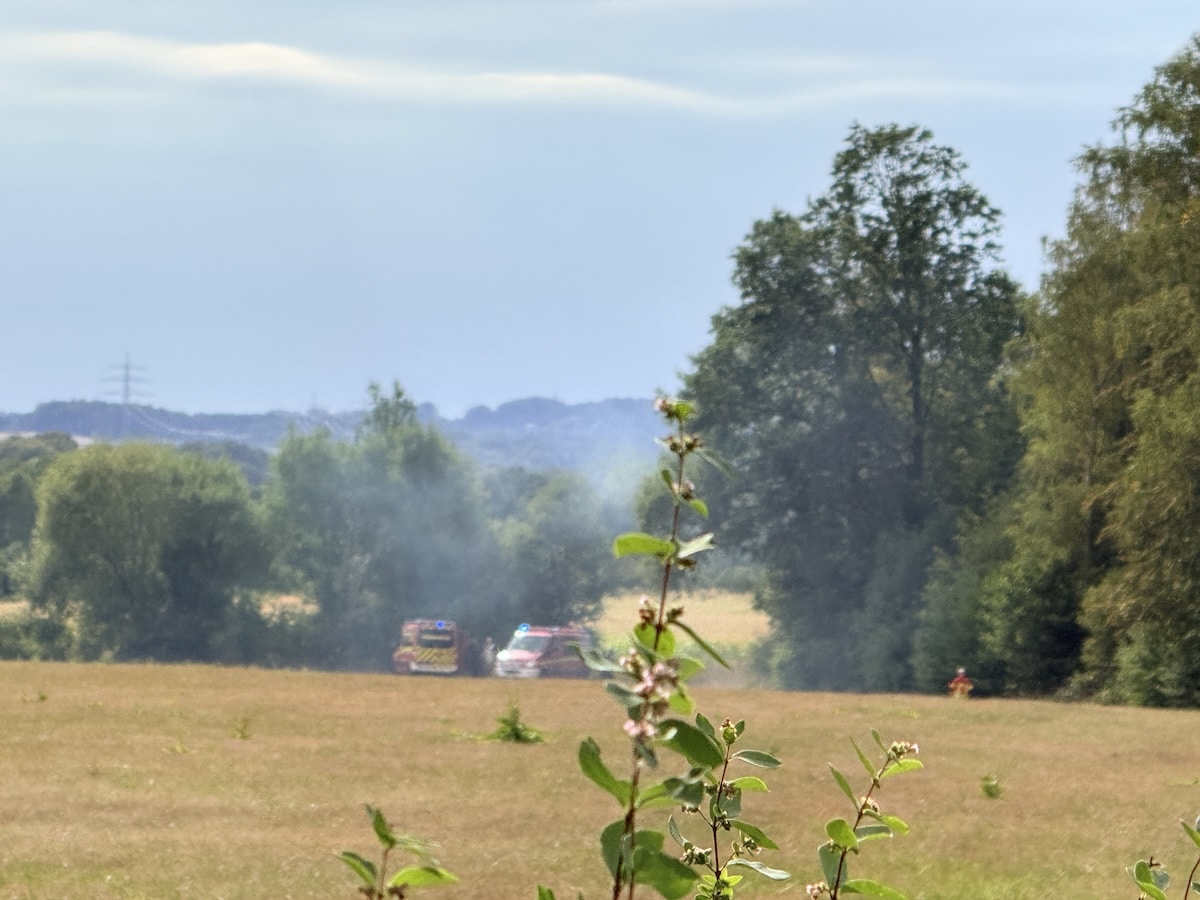 Feuerwehreinsatz am Waldrand in Osnabrück Atter
