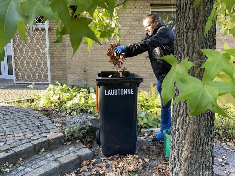 Laubtonne in Osnabrück in Osnabrück (Gesamtstadt)