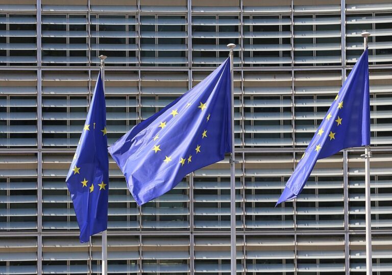EU-Fahnen (Archiv)
