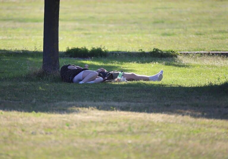 Sommer (Archiv)