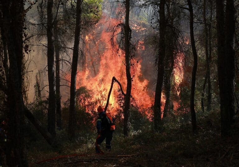 Waldbrandbekämpfung in