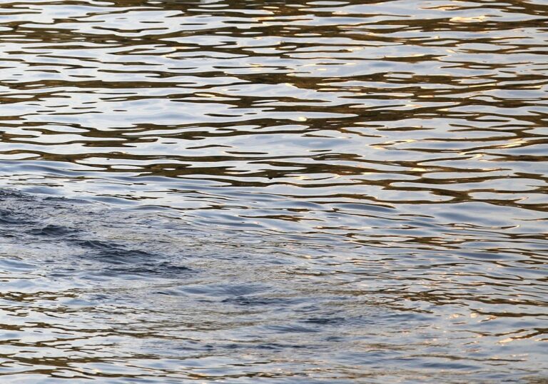 Wasser (Archiv)
