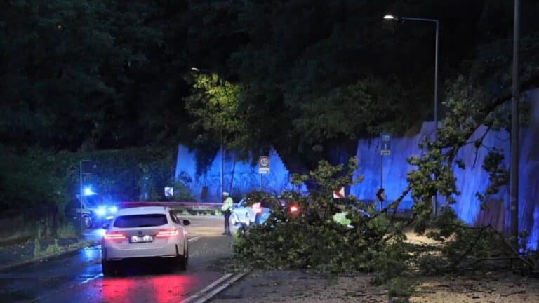 Schweres Gewitter in Stuttgart: 50 Einsätze für Feuerwehr