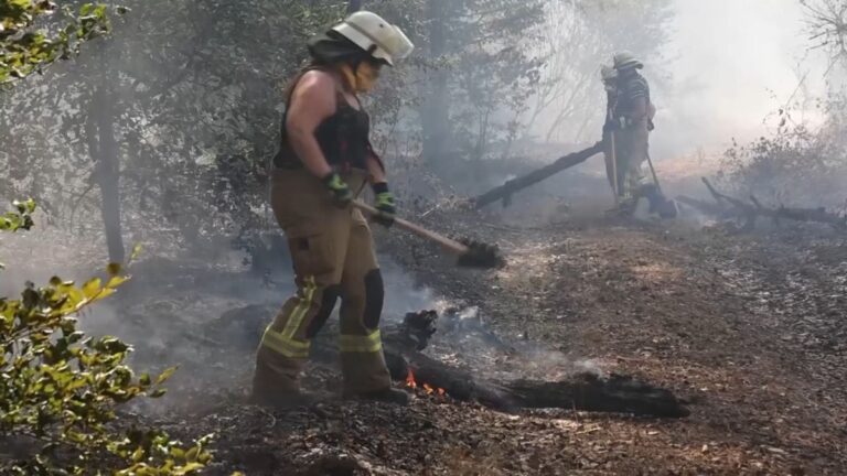 Waldbrände in Hessen: Feuerwehr kämpft gegen mehrere Feuer