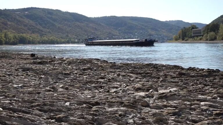 Niedrigwasser am Rhein treibt Spritpreise regional hoch