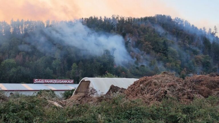 Waldbrände im Schwarzwald: Hunderte Helfer kämpfen gegen Flammen