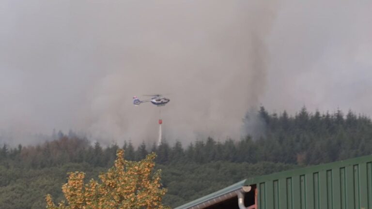 Waldbrand in der Eifel: 2.000 Menschen aus Gey evakuiert