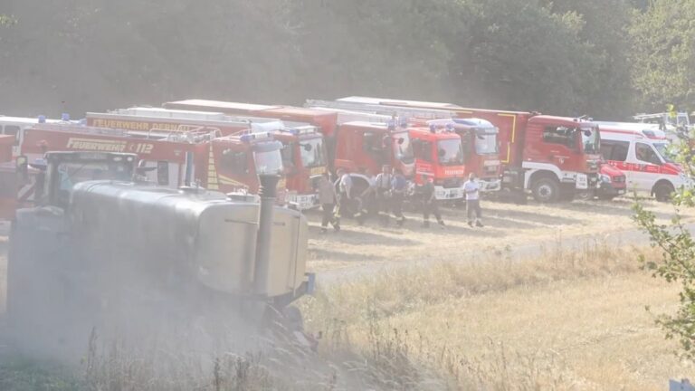 Waldbrand in Mayen-Koblenz: Vier Verletzte, Lage stabil