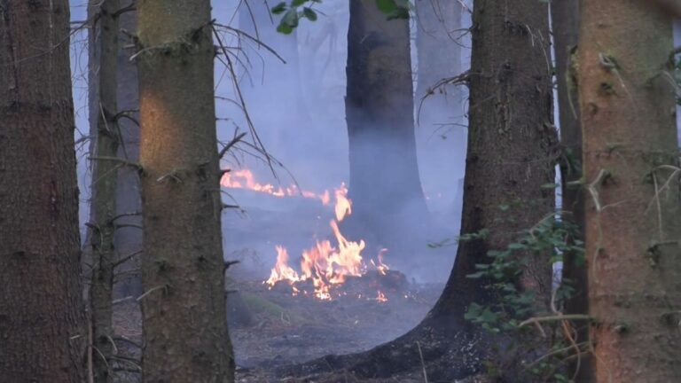 Dabei verzeichnet die Feuerwehr gute Fortschritte