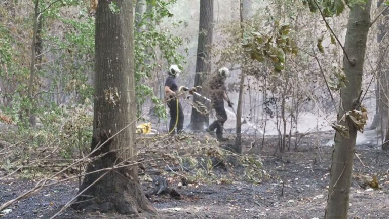 Waldbrände in NRW: Lage in Monschau und Hürtgenwald entspannt