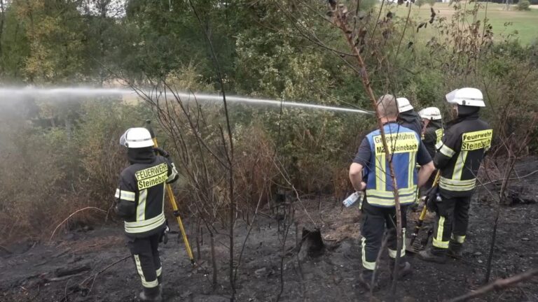Waldbrände in Deutschland: Einsatzkräfte kämpfen weiter