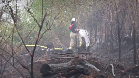 Waldbrand im Westerwald: Böller als mögliche Ursache
