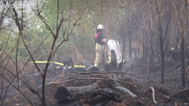 Waldbrand im Westerwald: Böller als mögliche Ursache