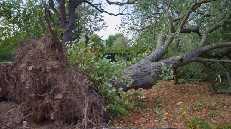 Schwere Unwetter in Thüringen: Ein Toter und Millionenschäden
