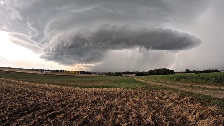Schwere Gewitter über Bayern: Bäume entwurzelt, Keller vollgelaufen