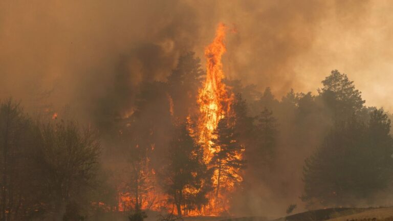 Serbien kämpft gegen verheerende Waldbrände