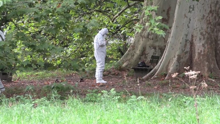 20-Jähriger in Leverkusen erstochen