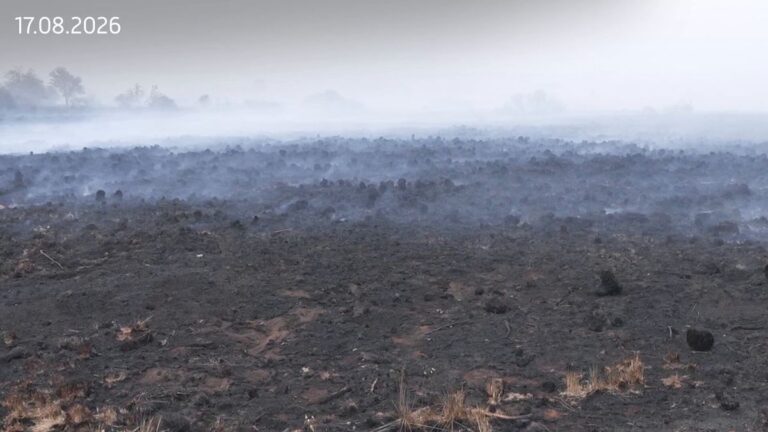 Brand im Hohen Venn: Landwirtschaft als mögliche Ursache