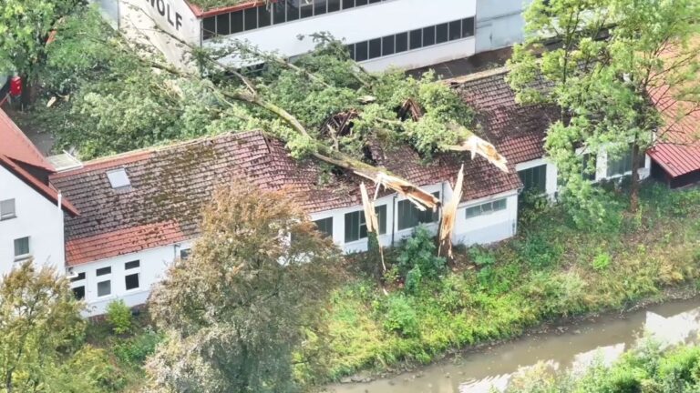 Schwere Unwetter in Baden-Württemberg: Bäume stürzen, Straßen gesperrt