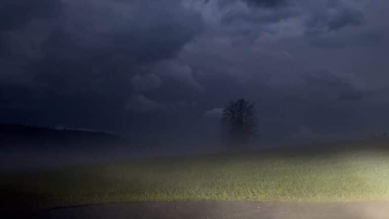 Wechselhaftes Wochenende: Regen, Wind und Gewitter in Deutschland