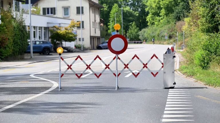 Tödliche Schüsse bei Rave in der Schweiz: Verdächtiger festgenommen
