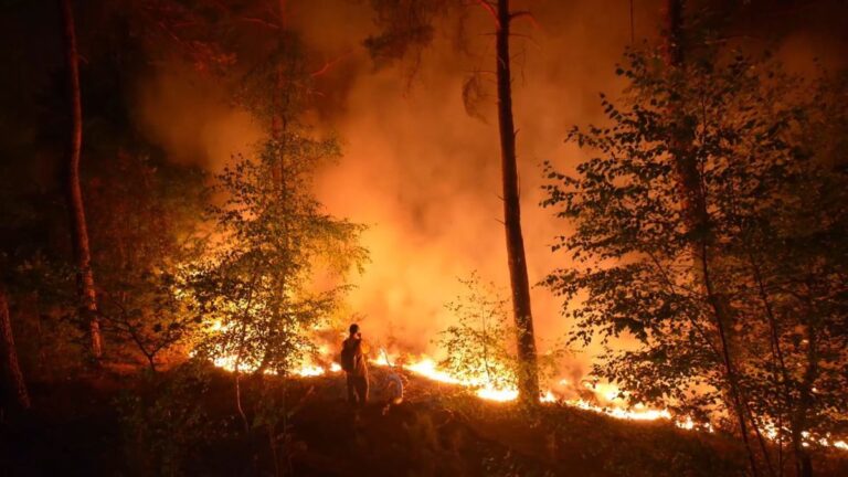Waldbrand in den Niederlanden breitet sich aus