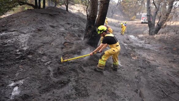 Großbrand in niederländischem Naturgebiet erreicht 100 Hektar