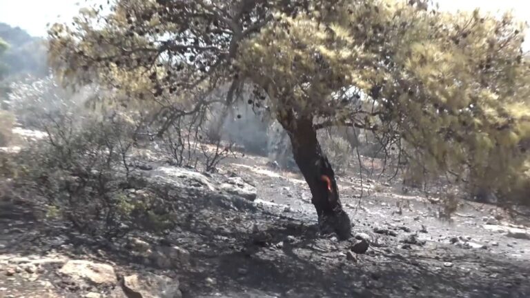 Brände bei Athen: Schäden werden sichtbar