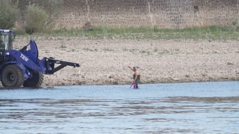 Niedrigwasser fördert Weltkriegsbombe im Rhein bei Köln zutage