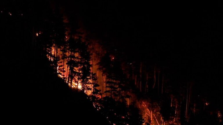 Großer Waldbrand am Gardasee: 200 Evakuierte in Tignale