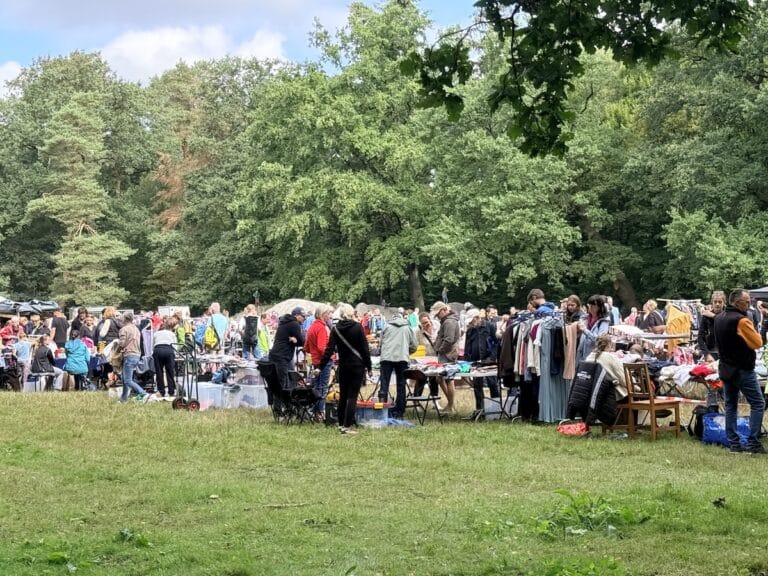 Familienflohmarkt im Natruper Holz, Osnabrück Eversburg / Foto: Pohlmann