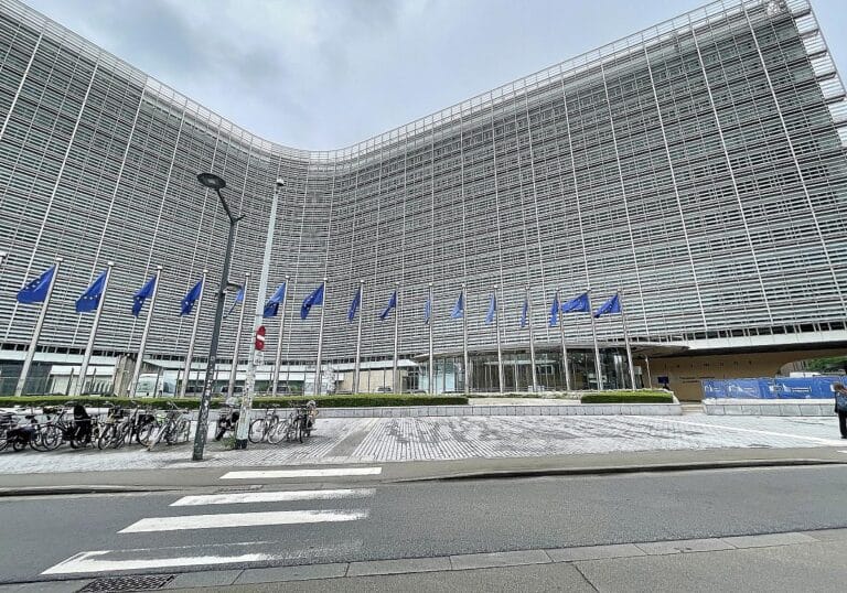 EU-Fahnen (Archiv)