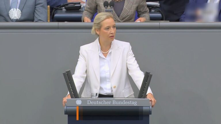 Weidel und Merz liefern sich Schlagabtausch im Bundestag