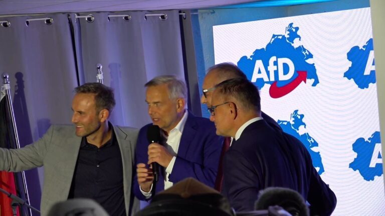 AfD in MV: Holm sieht Partei trotz Sieg in Opposition