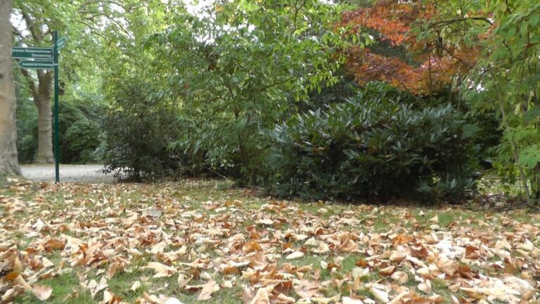 Herbstbeginn: Tage werden jetzt am schnellsten kürzer